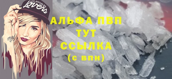 прущие грибы Арсеньев