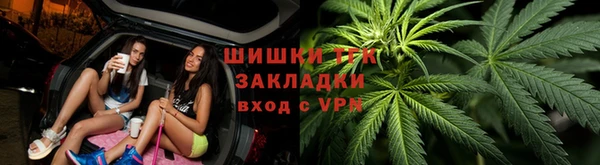 прущие грибы Арсеньев