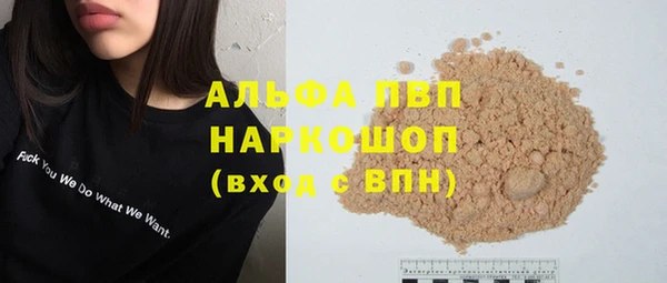 прущие грибы Арсеньев