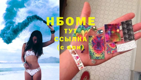 прущие грибы Арсеньев