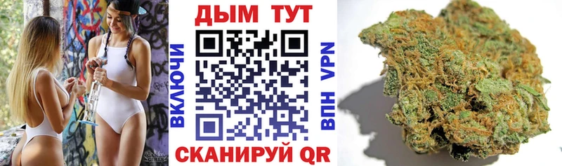 Шишки марихуана конопля  магазин продажи наркотиков  Аша 